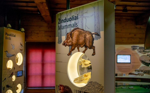 18_Panemuniu lankytoju centras (4)_1.jpg